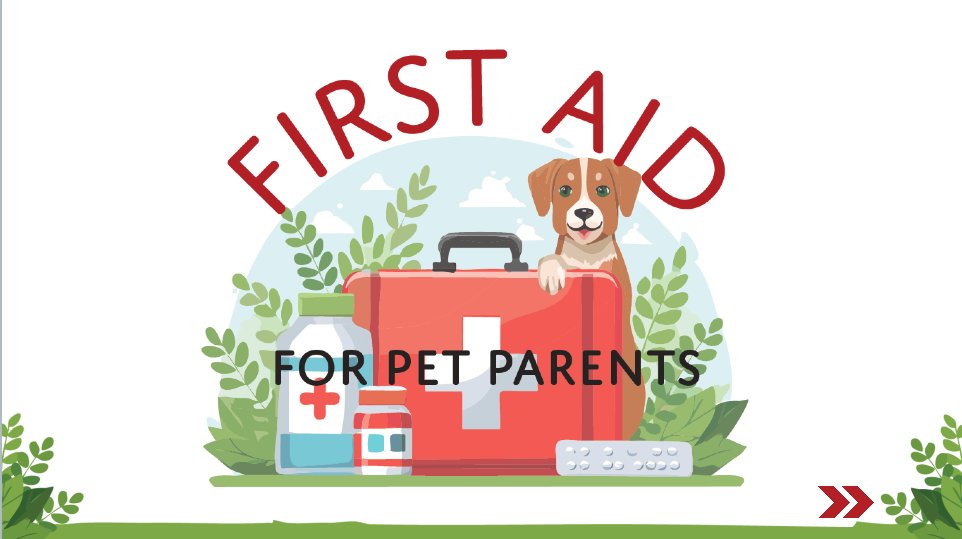 First Aid for Pet Parents